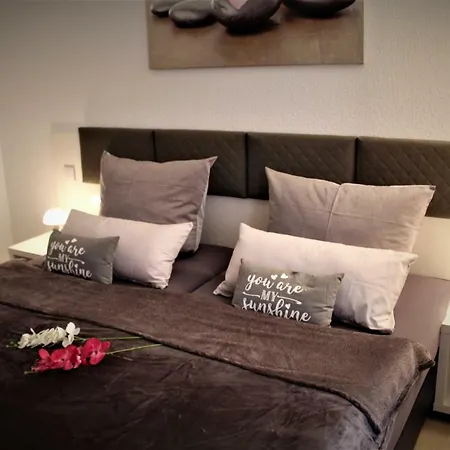 Budget Apartments Salzhausblick: Central City View Zittau Exterior photo