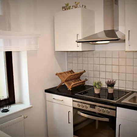 Budget Apartments Salzhausblick: Central City View Zittau Exterior photo