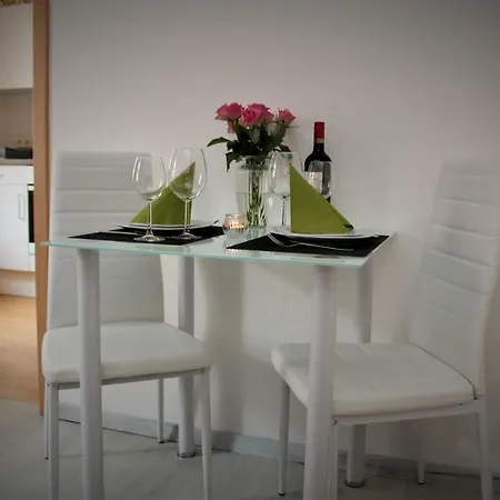 Budget Apartments Salzhausblick: Central City View Zittau Exterior photo
